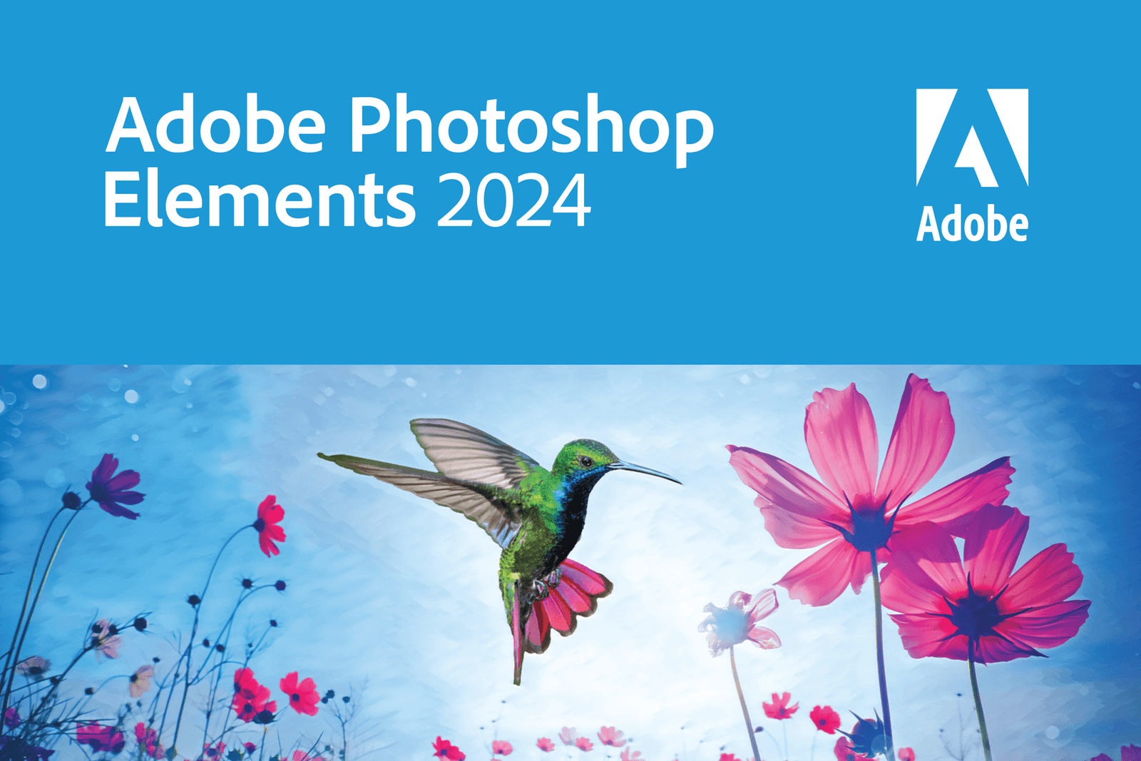 Adobe Photoshop 2024 25.12.4 ดาวน์โหลดสำหรับพีซี